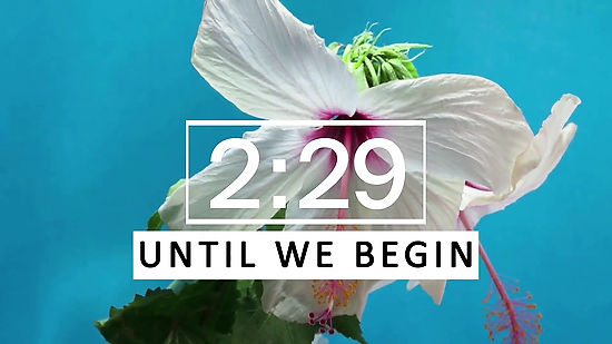 Floral Countdown